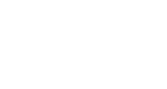 vip-speed-color